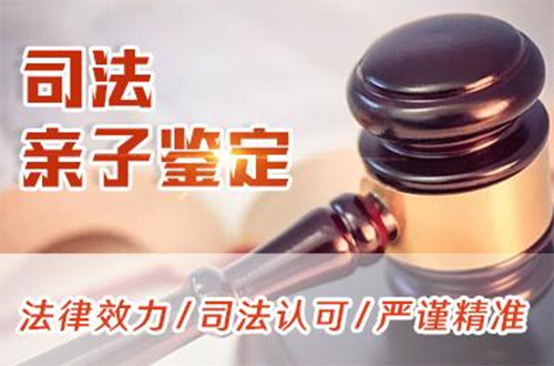 无锡司法亲子鉴定如何办理,无锡司法DNA亲子鉴定费用大概多少钱