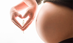 无锡怀孕几个月要如何办理胎儿亲子鉴定，无锡无创孕期亲子鉴定办理费用