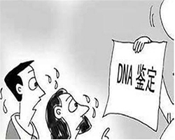 无锡DNA鉴定哪里做，无锡亲子鉴定要多少费用